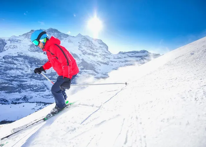 Apartment Allod Park Haus C 601 By Interhome Davos