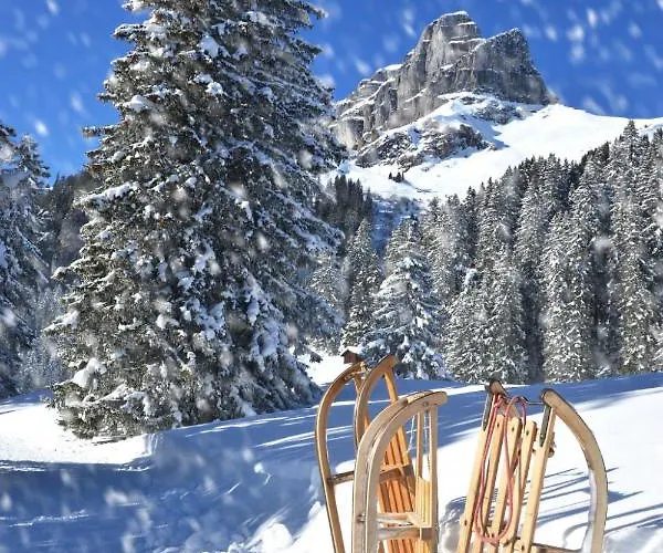 Apartment Allod Park Haus C 601 By Interhome Davos